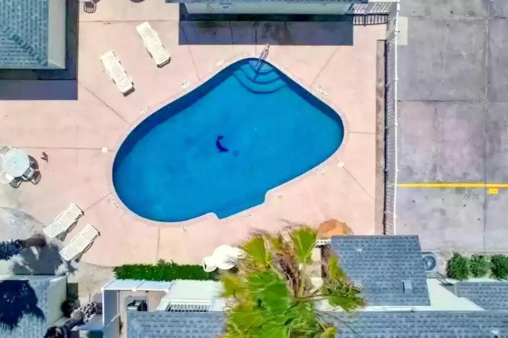 Spacious Home, Short Walk To Beach, Heated Pool! 코퍼스크리스티 외부 사진